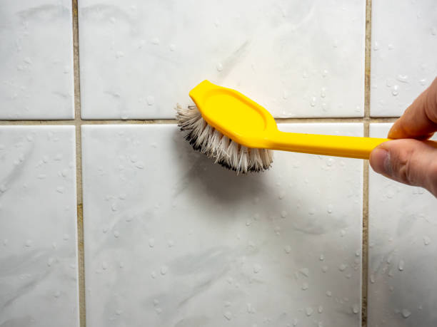 Best Toxic Mold Removal  in Blackfoot, ID