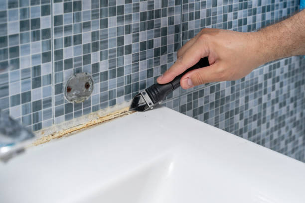 Best Affordable Mold Removal  in Blackfoot, ID
