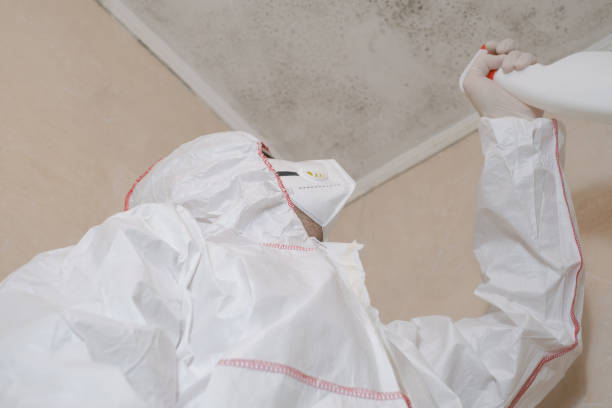 Best Office Mold Removal Services  in Blackfoot, ID