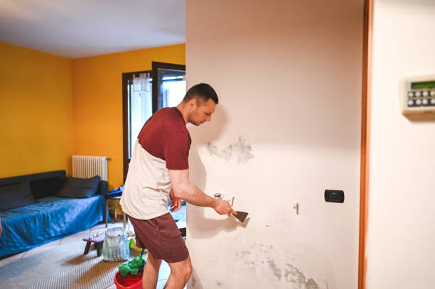 Best Home Mold Removal  in Blackfoot, ID